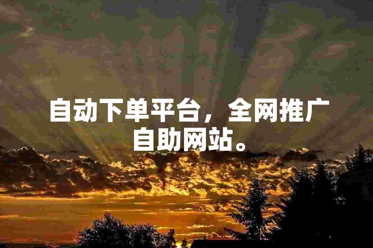 自动下单平台，全网推广自助网站。