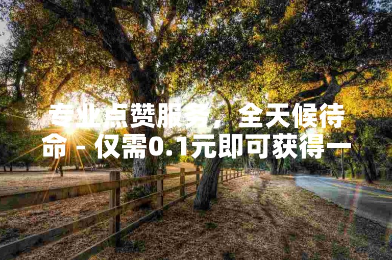 专业点赞服务，全天候待命 - 仅需0.1元即可获得一万赞。