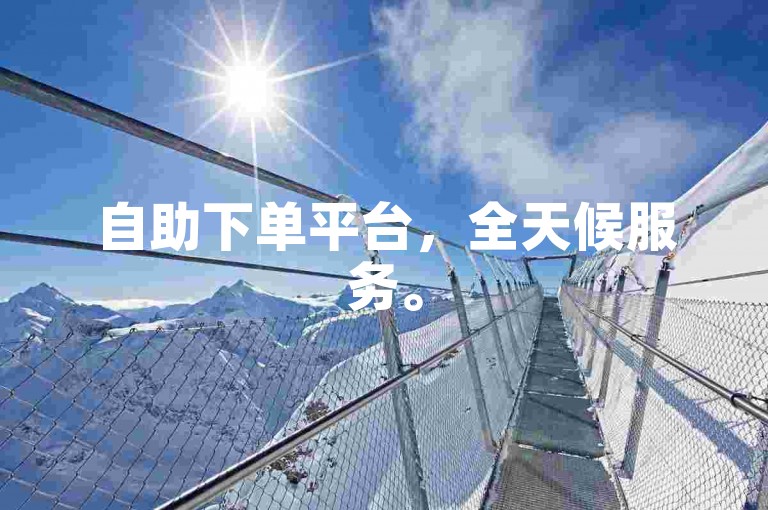 自助下单平台，全天候服务。