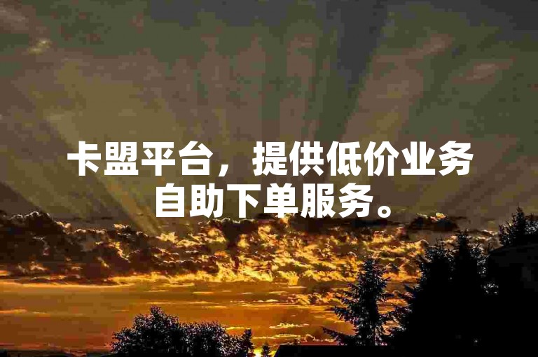卡盟平台，提供低价业务自助下单服务。
