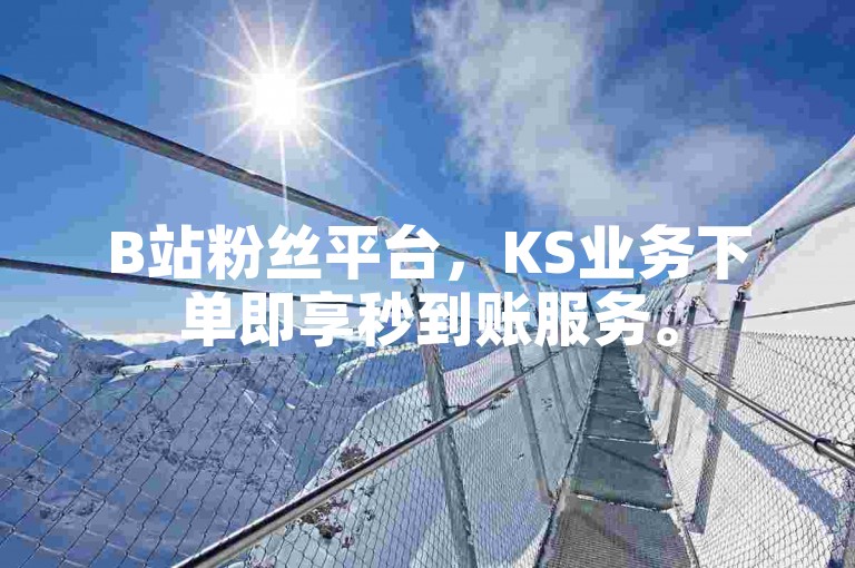 B站粉丝平台，KS业务下单即享秒到账服务。