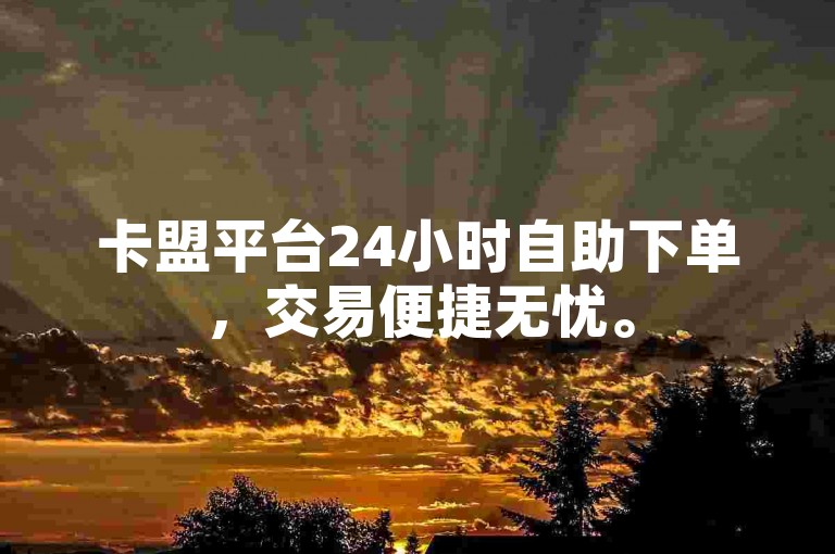 卡盟平台24小时自助下单，交易便捷无忧。