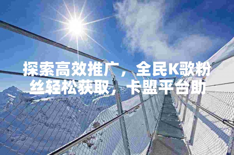 探索高效推广，全民K歌粉丝轻松获取，卡盟平台助您一臂之力。