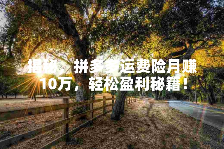 揭秘，拼多多运费险月赚10万，轻松盈利秘籍！