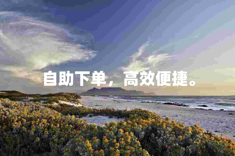 自助下单，高效便捷。