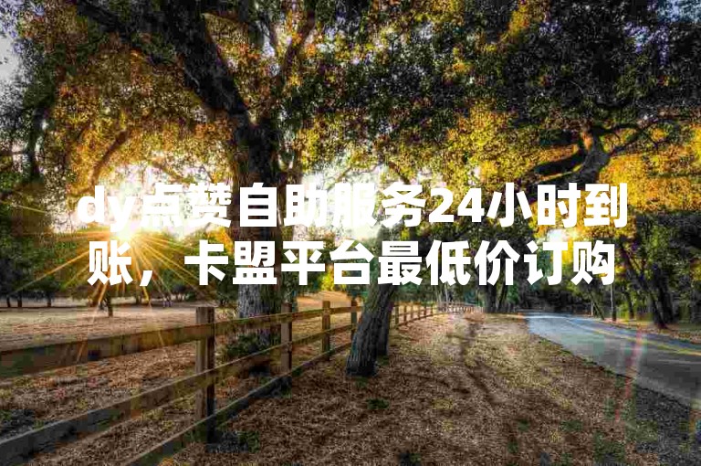 dy点赞自助服务24小时到账，卡盟平台最低价订购。