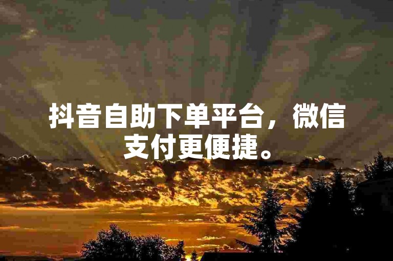 抖音自助下单平台，微信支付更便捷。