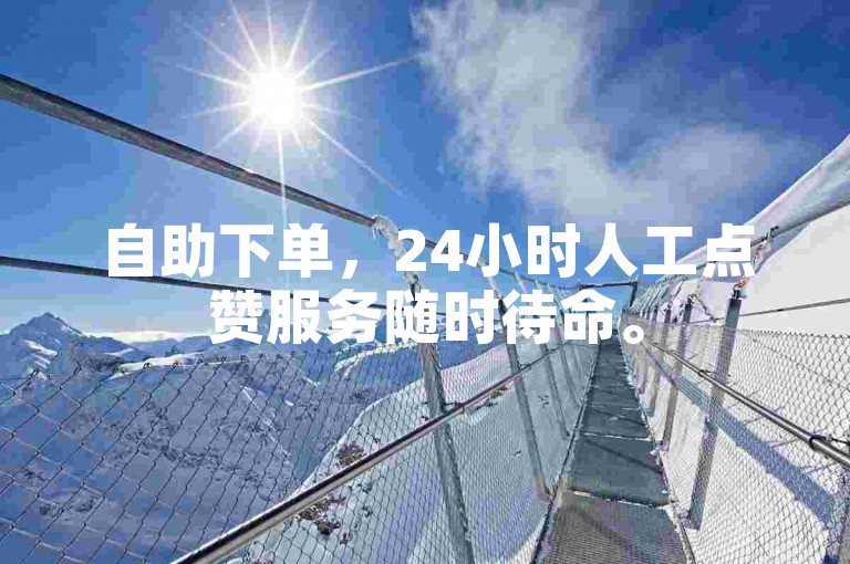 自助下单，24小时人工点赞服务随时待命。