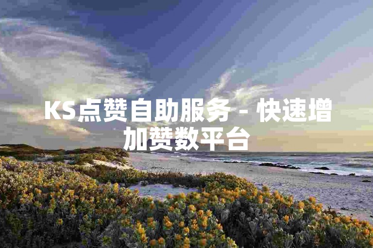 KS点赞自助服务 - 快速增加赞数平台
