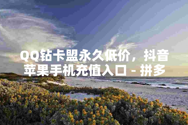 QQ钻卡盟永久低价，抖音苹果手机充值入口 - 拼多多助力平台 - 快手自动下单平台