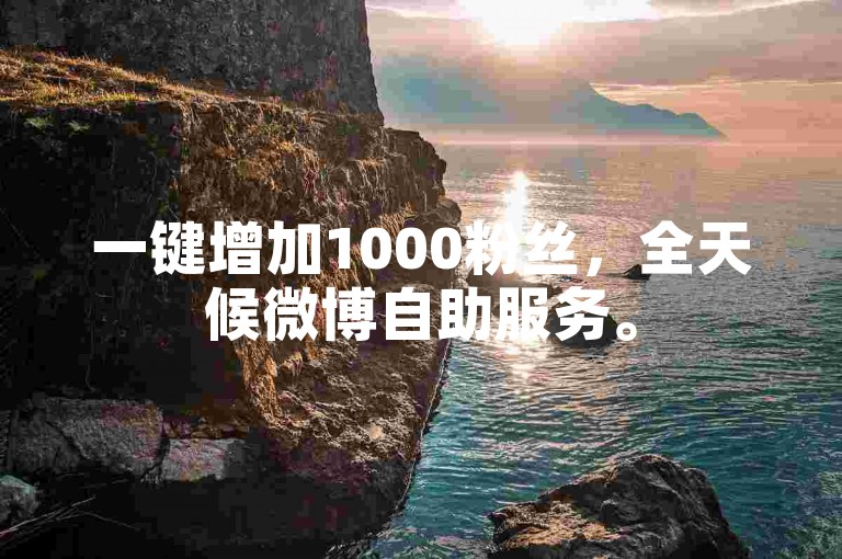 一键增加1000粉丝，全天候微博自助服务。