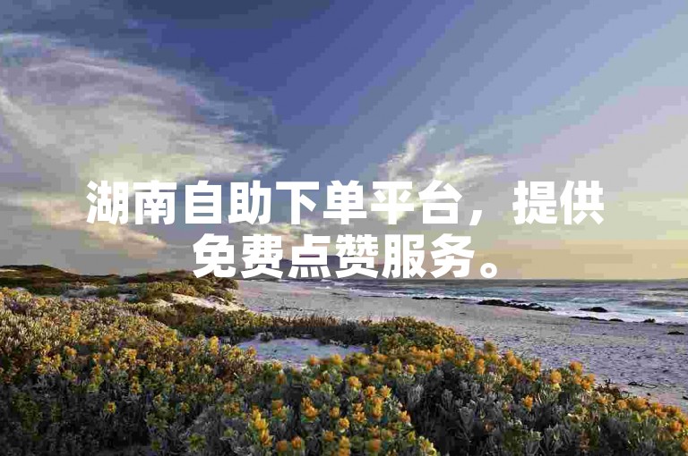 湖南自助下单平台，提供免费点赞服务。