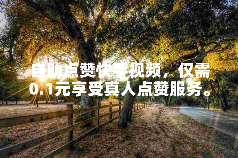 自助点赞快手视频，仅需0.1元享受真人点赞服务。