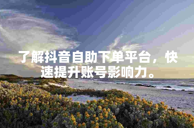 了解抖音自助下单平台，快速提升账号影响力。