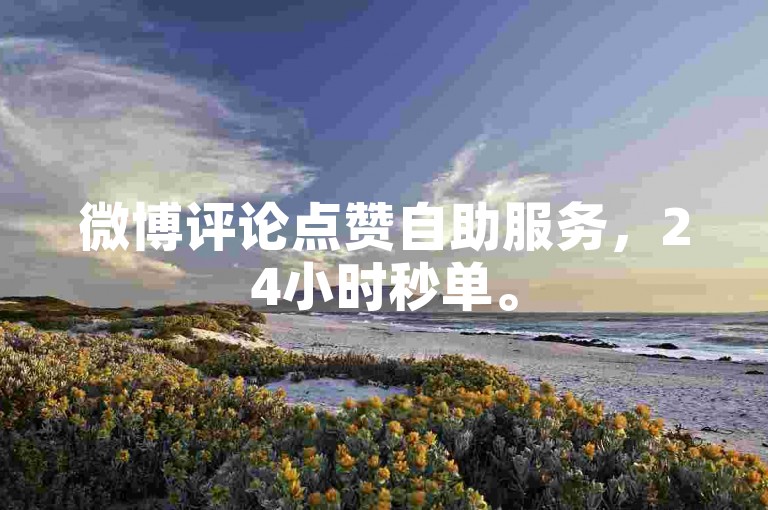 微博评论点赞自助服务，24小时秒单。