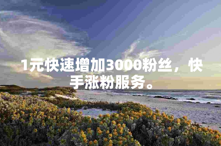1元快速增加3000粉丝，快手涨粉服务。