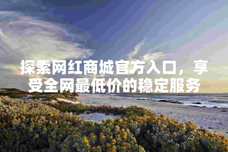 探索网红商城官方入口，享受全网最低价的稳定服务。