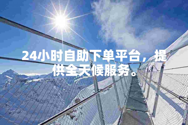 24小时自助下单平台，提供全天候服务。