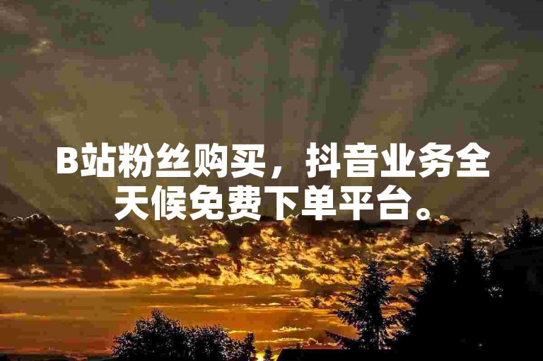 B站粉丝购买，抖音业务全天候免费下单平台。