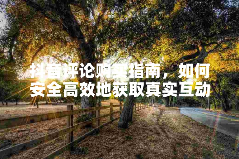 抖音评论购买指南，如何安全高效地获取真实互动？