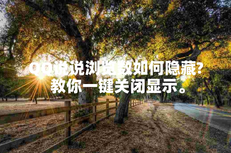 QQ说说浏览数如何隐藏? 教你一键关闭显示。