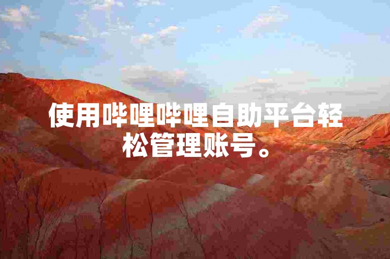 使用哔哩哔哩自助平台轻松管理账号。