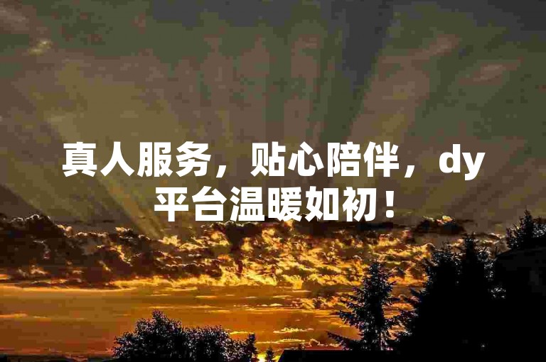 真人服务，贴心陪伴，dy平台温暖如初！