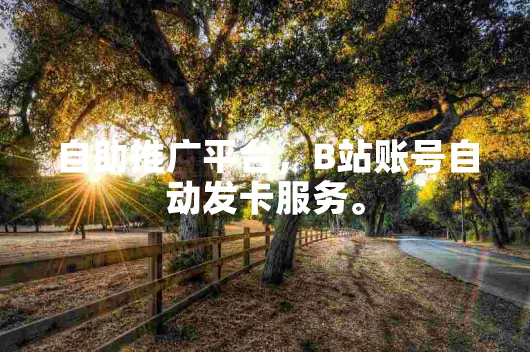 自助推广平台，B站账号自动发卡服务。