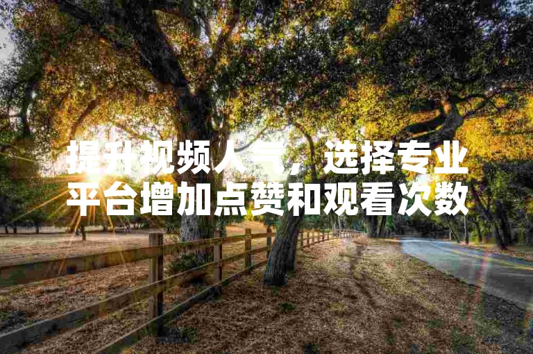 提升视频人气，选择专业平台增加点赞和观看次数。