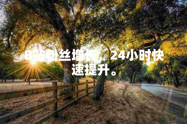B站粉丝增长，24小时快速提升。