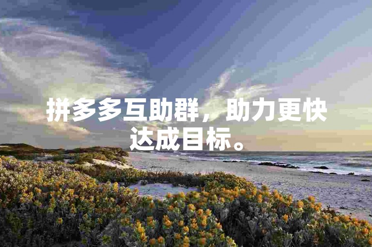 拼多多互助群，助力更快达成目标。