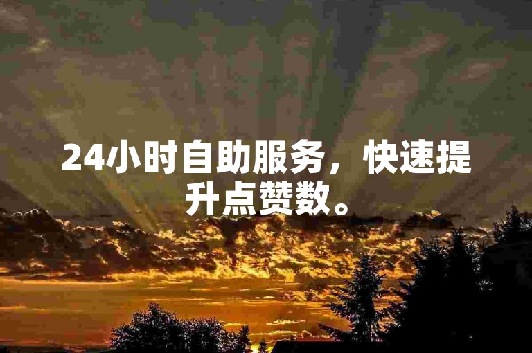 24小时自助服务，快速提升点赞数。