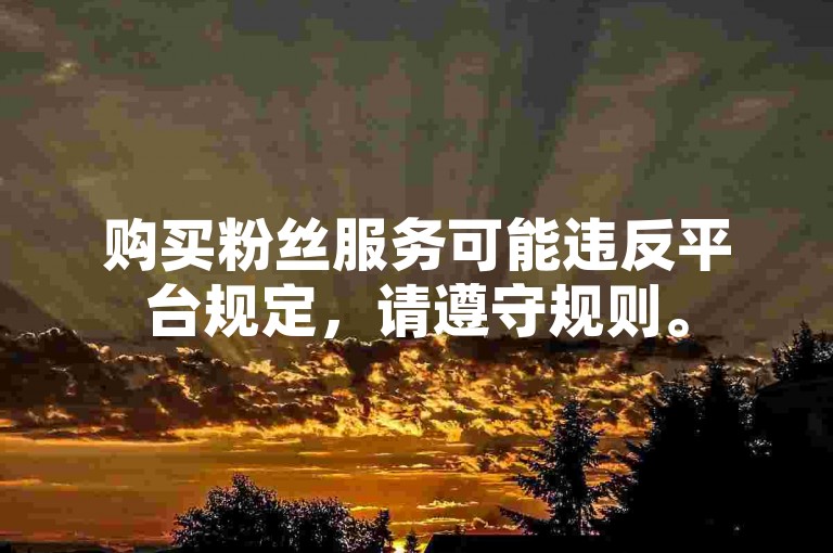 购买粉丝服务可能违反平台规定，请遵守规则。