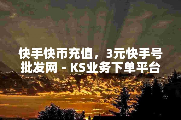 快手快币充值，3元快手号批发网 - KS业务下单平台 - KS免费双击