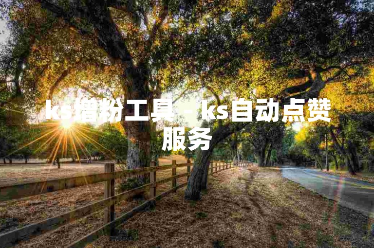 ks增粉工具 - ks自动点赞服务