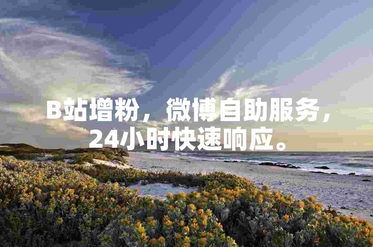 B站增粉，微博自助服务，24小时快速响应。