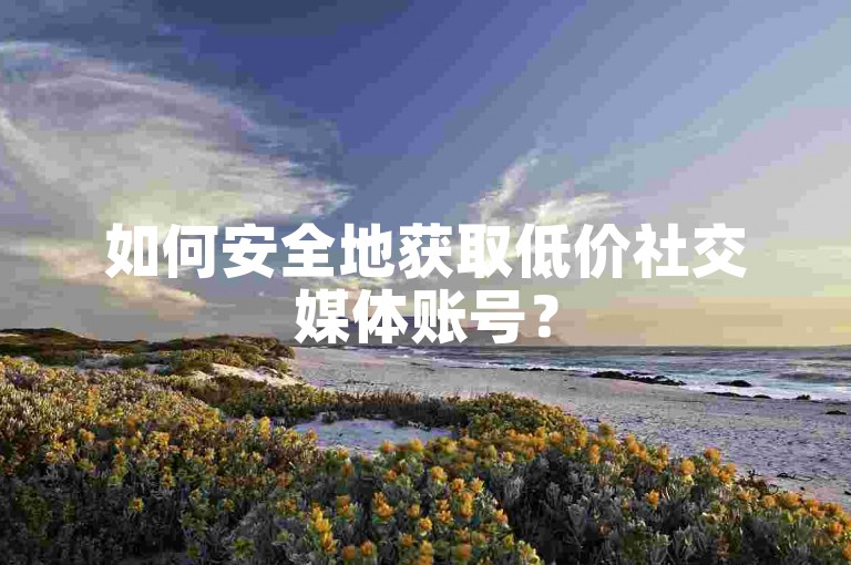如何安全地获取低价社交媒体账号？