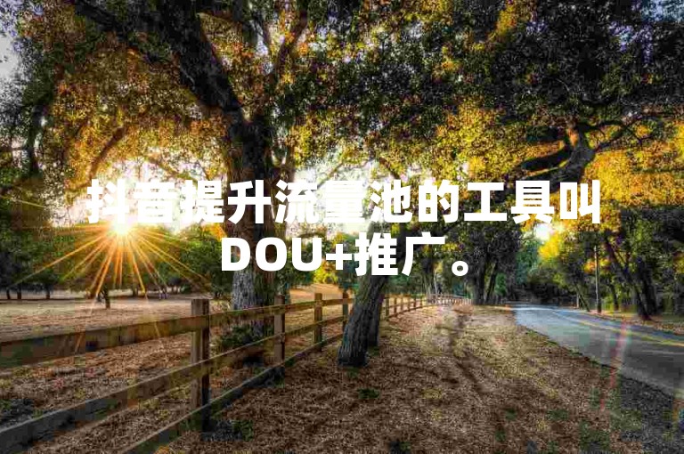 抖音提升流量池的工具叫DOU+推广。