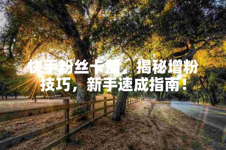 快手粉丝卡盟，揭秘增粉技巧，新手速成指南！