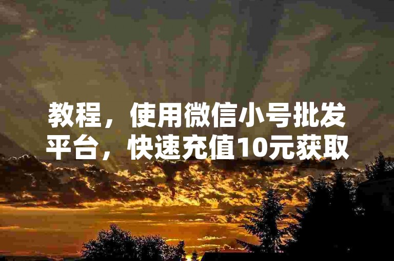 教程，使用微信小号批发平台，快速充值10元获取1000dy币。