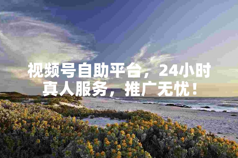 视频号自助平台，24小时真人服务，推广无忧！
