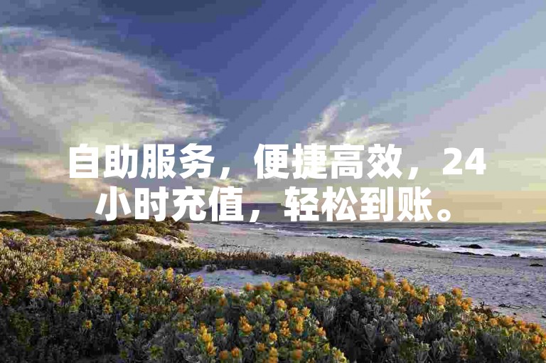 自助服务，便捷高效，24小时充值，轻松到账。