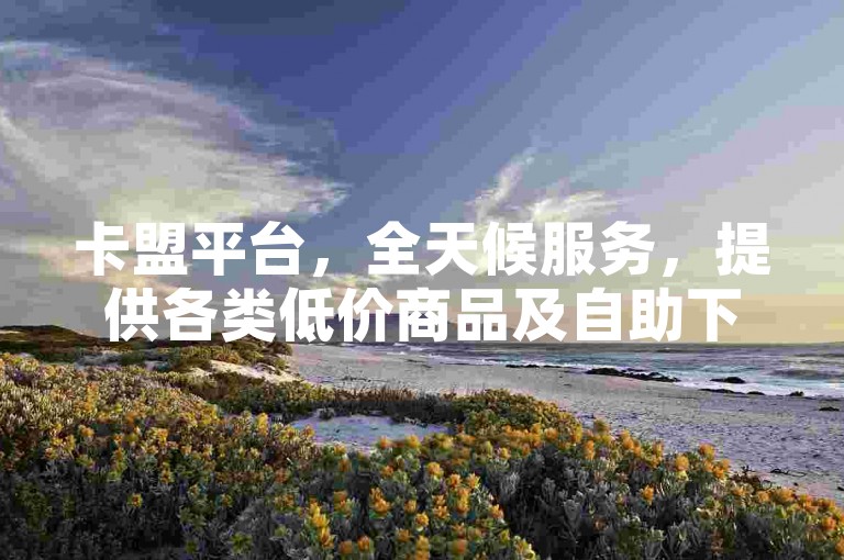 卡盟平台，全天候服务，提供各类低价商品及自助下单功能。