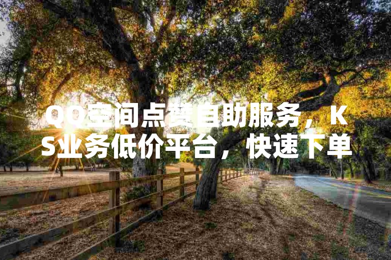 QQ空间点赞自助服务，KS业务低价平台，快速下单。