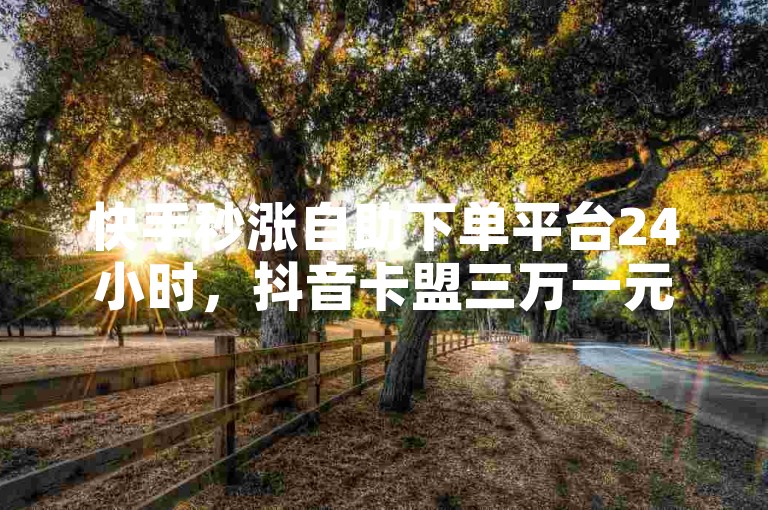 快手秒涨自助下单平台24小时，抖音卡盟三万一元。