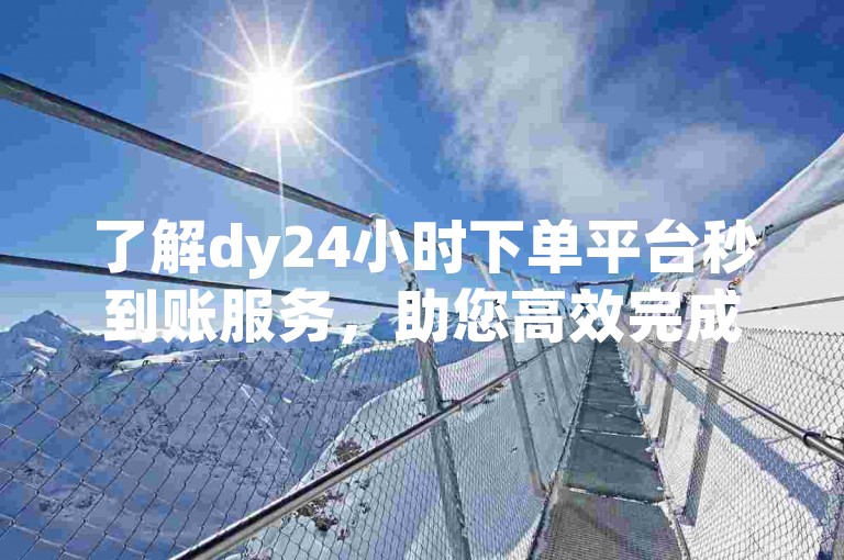 了解dy24小时下单平台秒到账服务，助您高效完成交易。