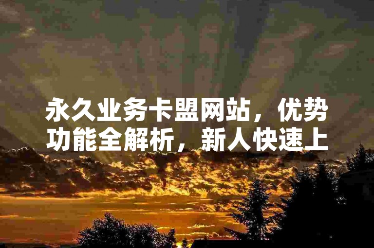永久业务卡盟网站，优势功能全解析，新人快速上手指南！