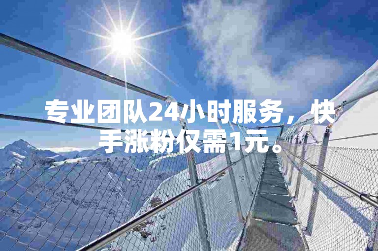 专业团队24小时服务，快手涨粉仅需1元。