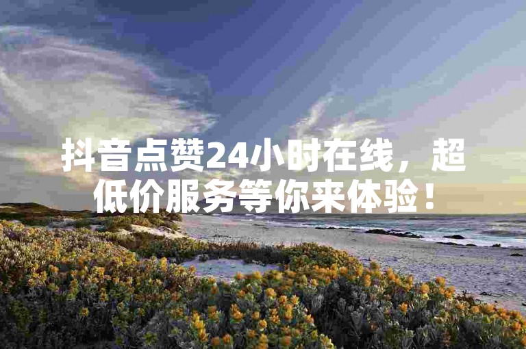 抖音点赞24小时在线，超低价服务等你来体验！