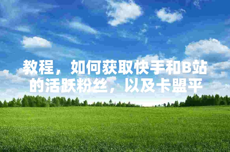 教程，如何获取快手和B站的活跃粉丝，以及卡盟平台的QQ永久会员。